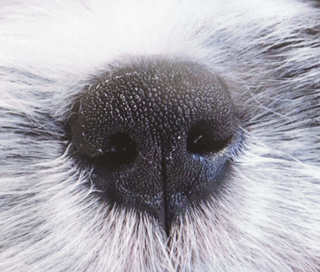 Image Image