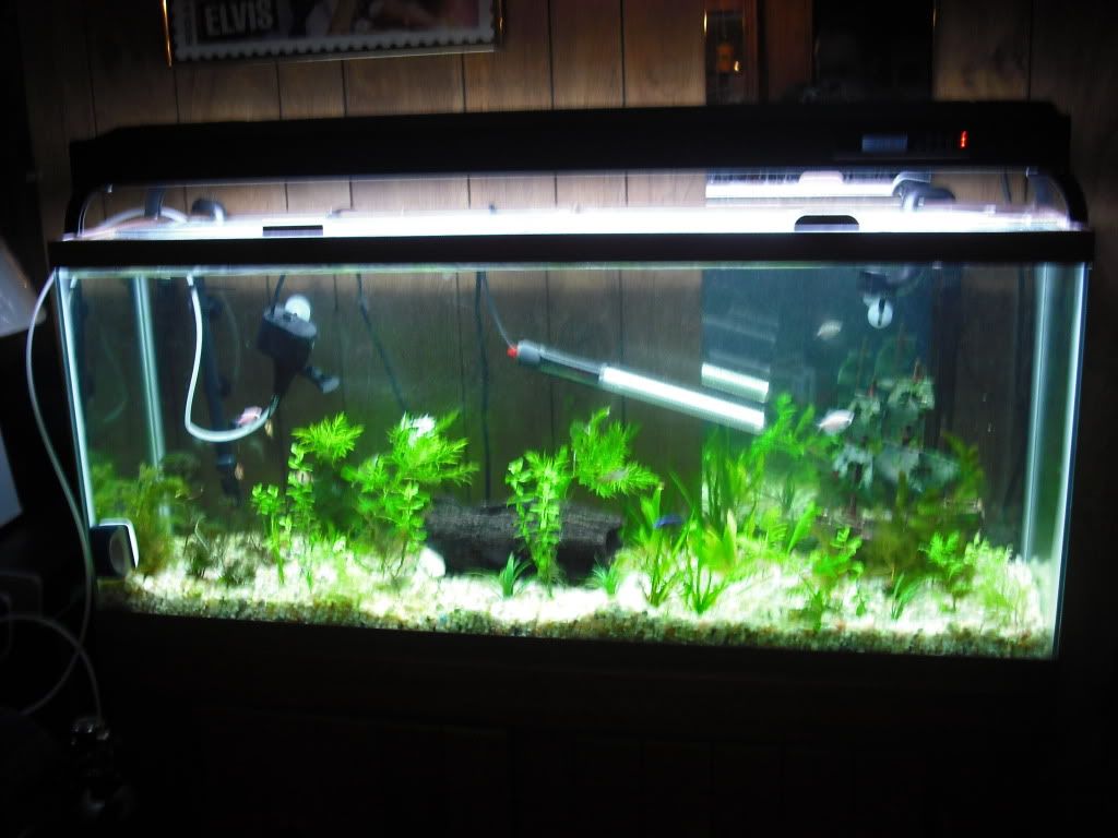 my diy spray bar with pics