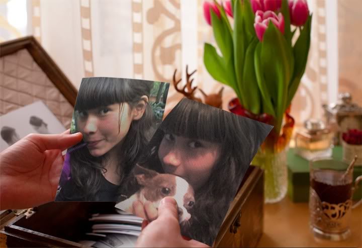 PhotoFunia-505 PhotoFunia 505 http://s586.photobucket.com/user/sinicosperro3/media