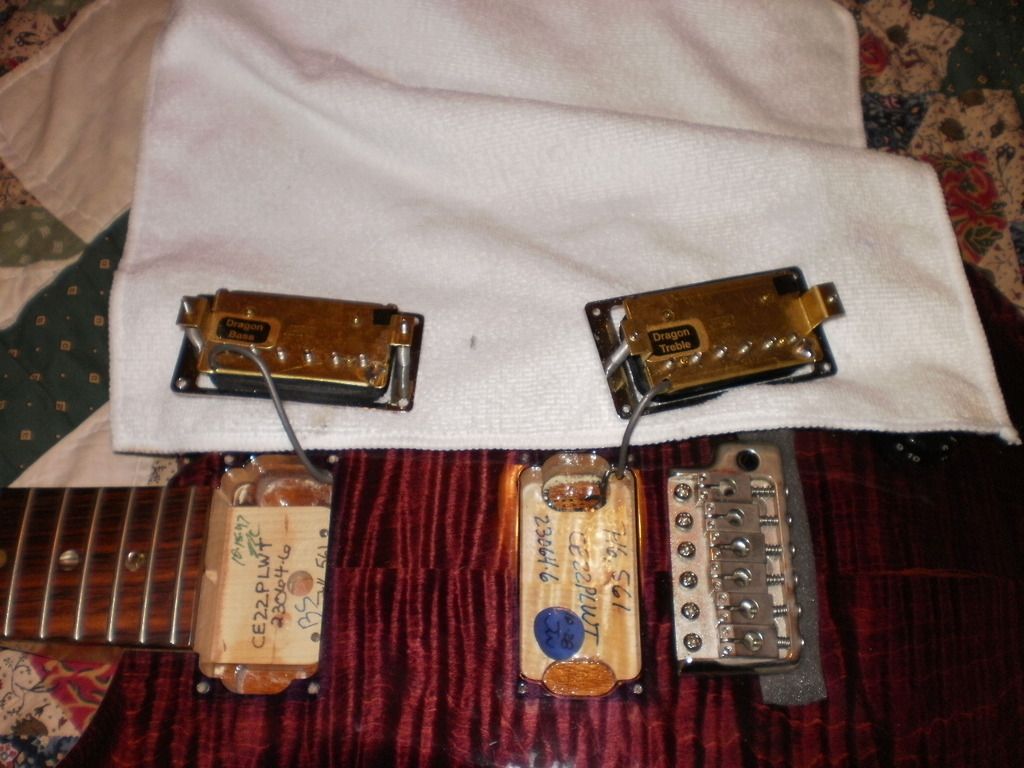 Pickups%20amp%20Cavity.jpg