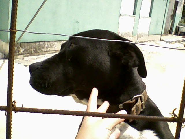 Imagem