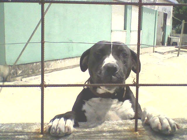 Imagem