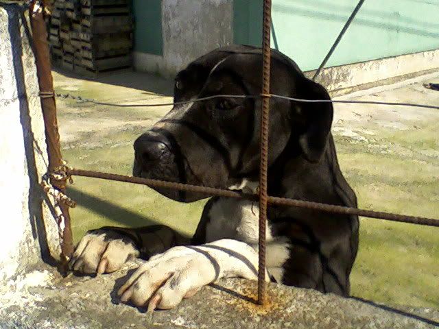 Imagem