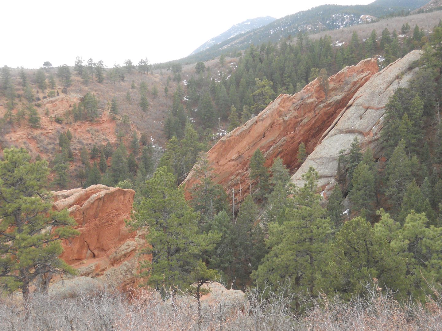 RedRockOpenSpace22711014.jpg