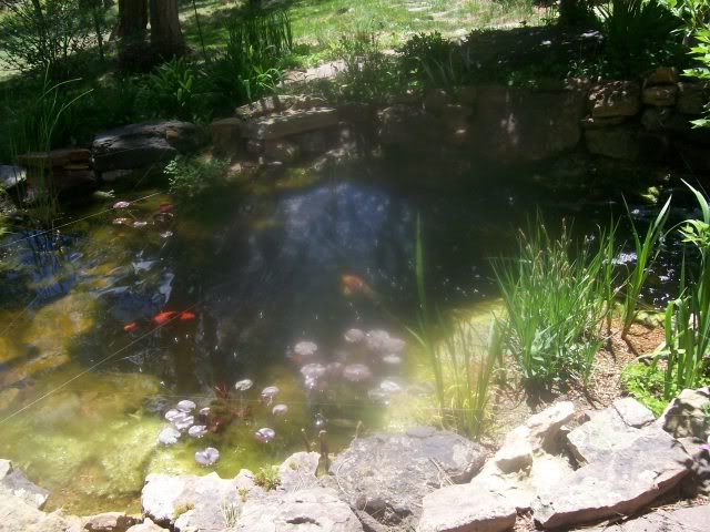 53010021-1.jpg
