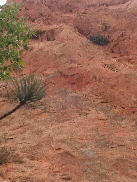 redrockopenspace014.jpg