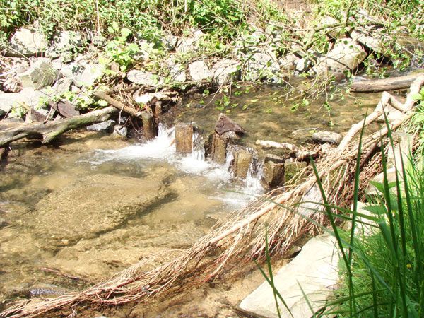  photo 2013-05-17-011_zps2e6c6d3d.jpg