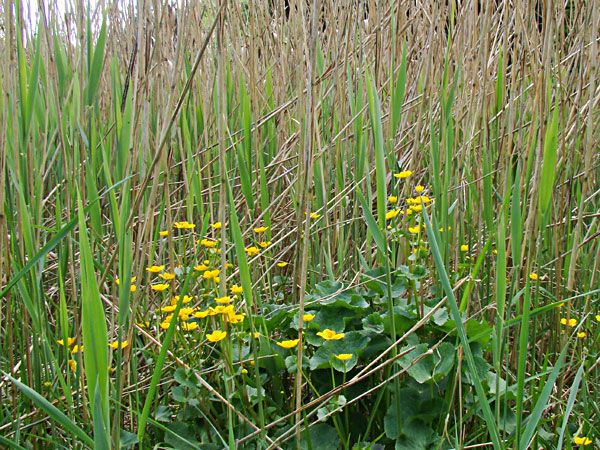  photo 2013-05-17-024_zps8d76dbec.jpg