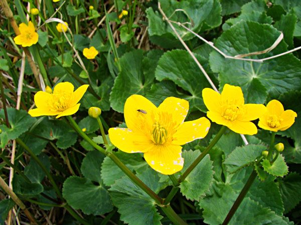  photo 2013-05-17-025_zpsb6a7c3f1.jpg