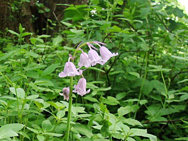  photo 2013-05-17-042_zpsdcec0048.jpg