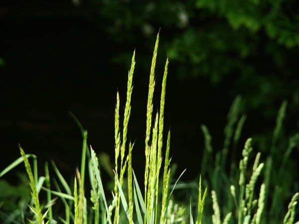  photo 2013-05-17-048_zpsb90e4eee.jpg