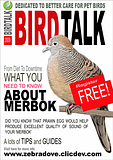 Bird Forum