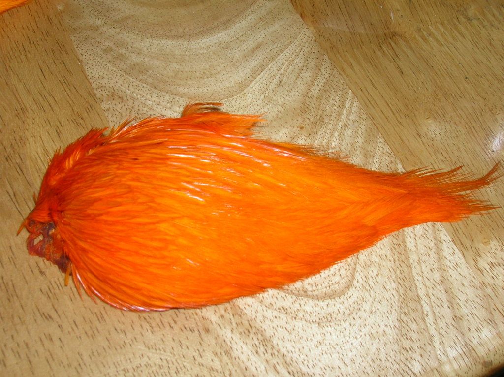 016-11.jpg
