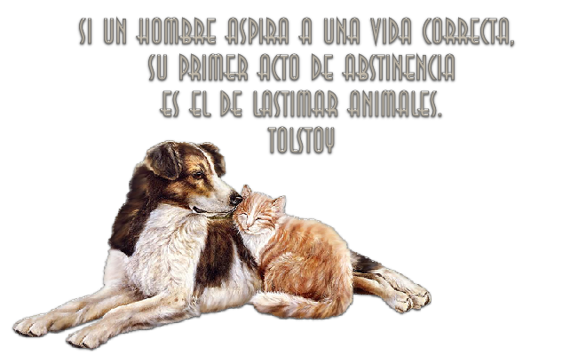  photo Amar a  los  animales tube 3_zpsx850rl5q.png