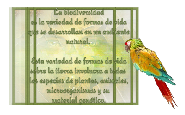  photo BIODIVERSIDAD tube4_zpswprzoezg.png