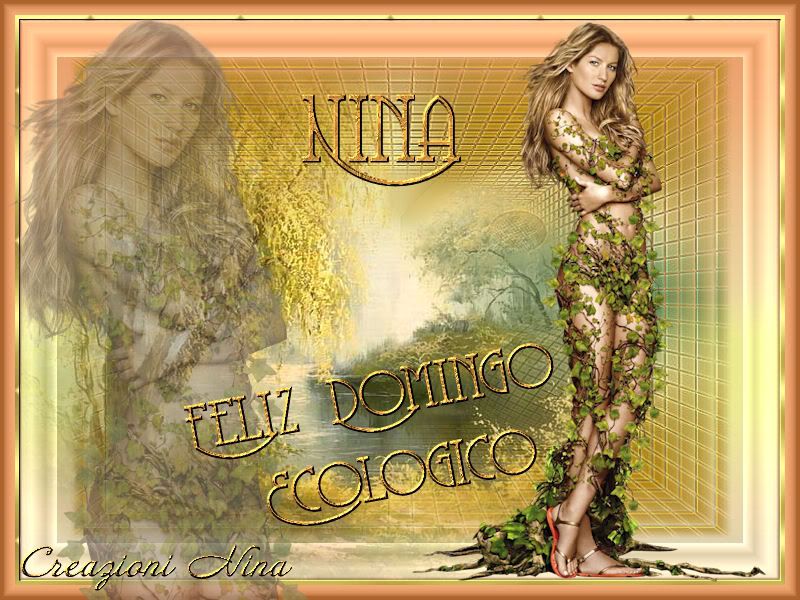 Naturaleza Nina