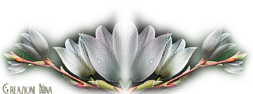 photo FDECEfirma4_zps2e84ca76-1.png