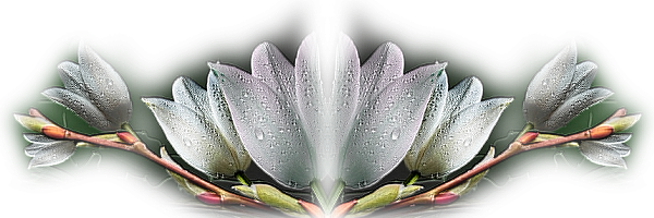  photo FDECEtube_zps1c7ded9c.png