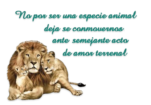  photo FelizDiadelasMadresFantraxiatube4_zpsf34aa929.png