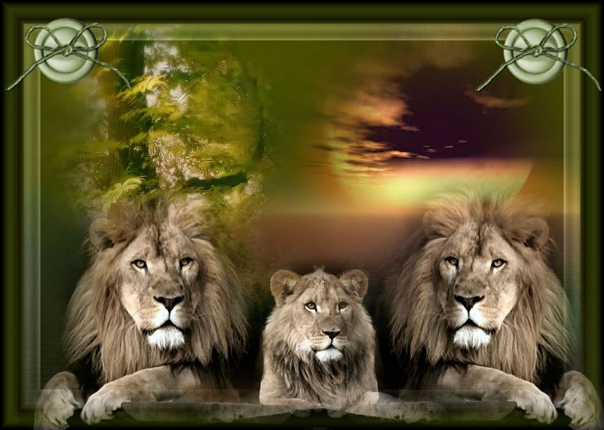 Resultado de imagen para Los tres leones