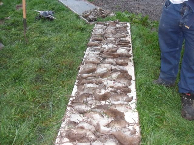 Picture018-8.jpg