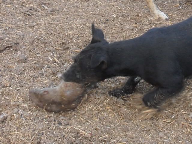 Picture025-12.jpg