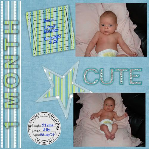 Baby's First Year Template Bundle (1 month) LO1 (r)