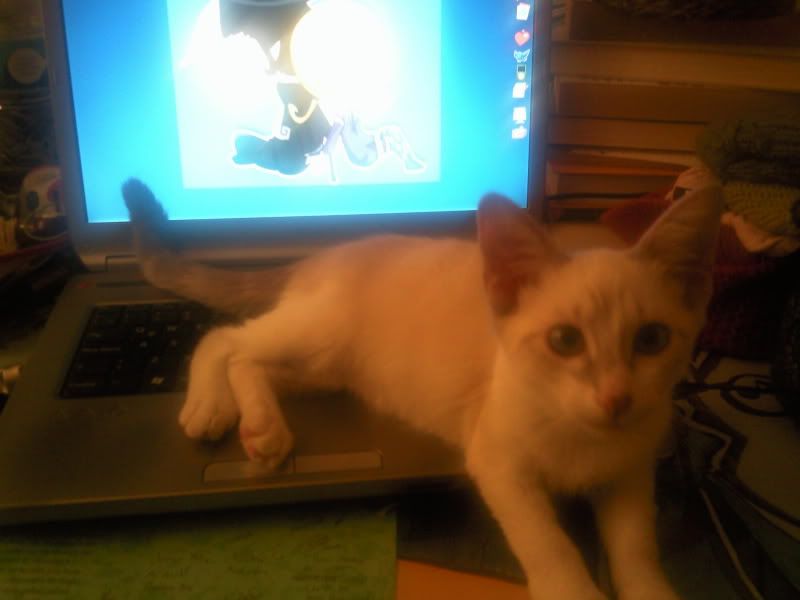 Photobucket
