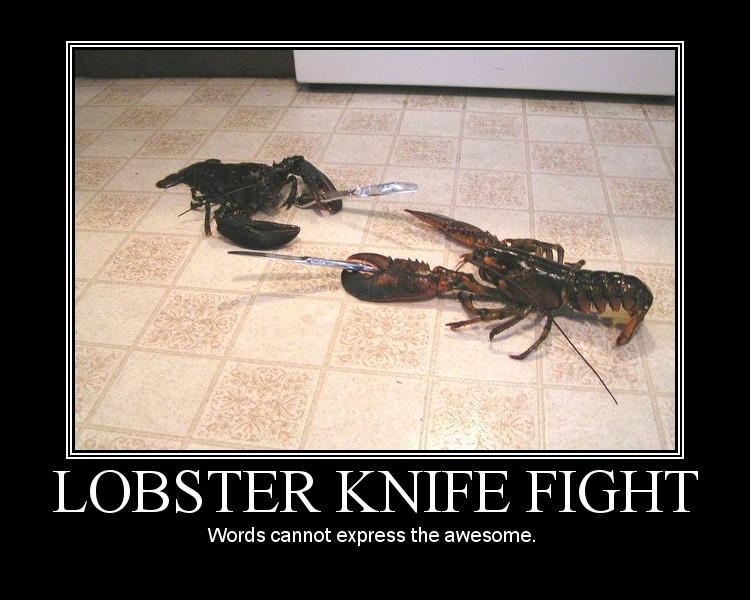 lobsterfight.png