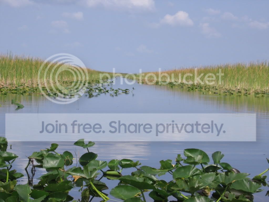 maggieinbox077.jpg